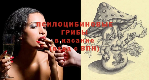сатива Мегион