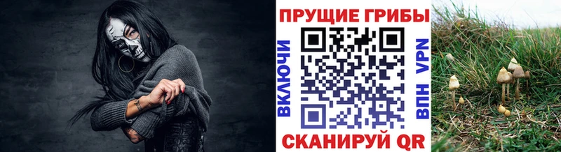 Галлюциногенные грибы прущие грибы  Павловская 